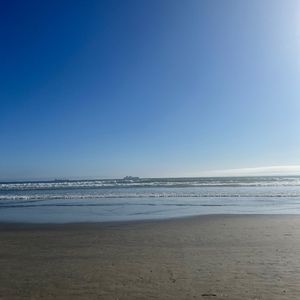 Meet your Posher, Loraine